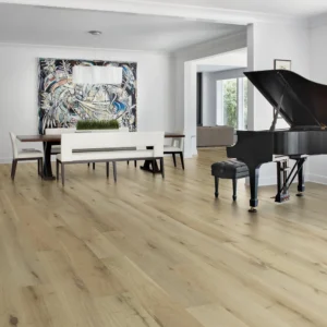 virtuoso+95305